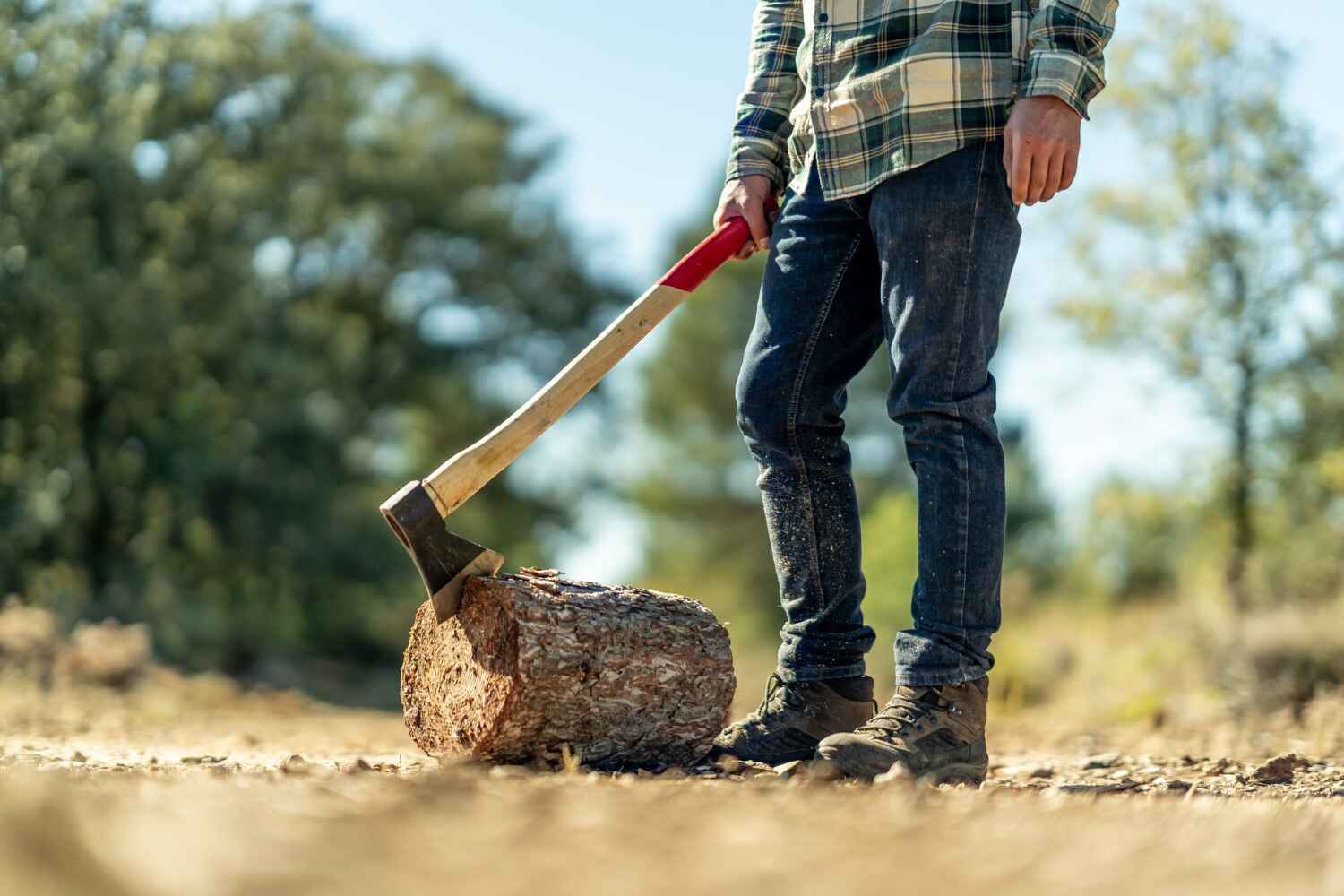 Dead Tree Removal in Hillsdale, MI